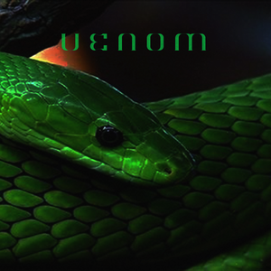 【Free】“毒液” Young thug x Gunna Type Beat