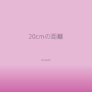 20cmの距離