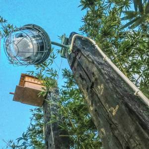 【 我 怎 么 去 想 起 你 】 伴奏