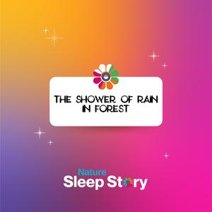 Bewitched by Drizzle Melody