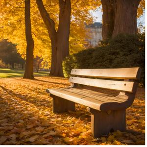 잊고싶다, 보고싶다