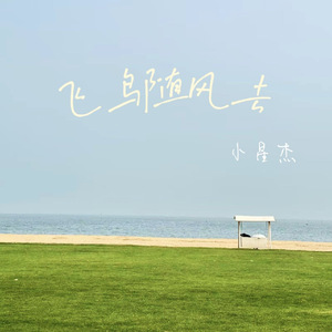 飞鸟随风去