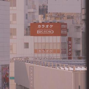 一棵会开花的树