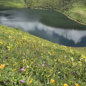 玻璃海寓言_