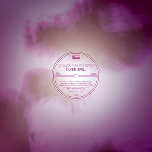 Silver Spell (JD Twitch Optimo Remix Vocal)