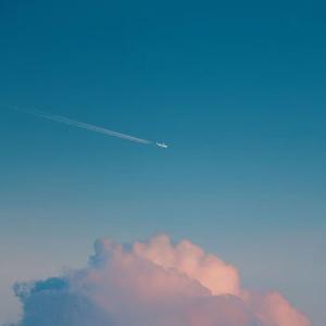 我曾经发了疯的想