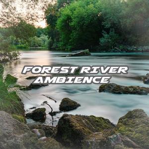 Forest River Ambience