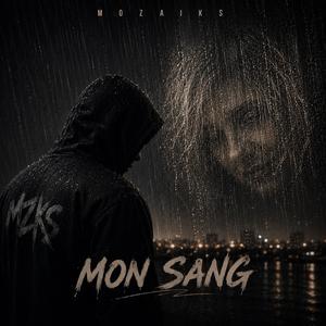 Mon sang