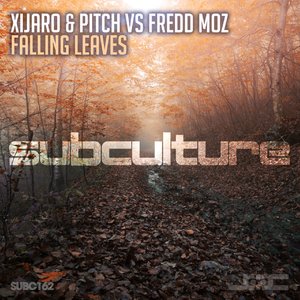 Falling Leaves (Original Mix)