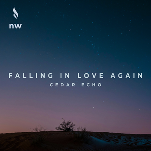 Falling in Love Again