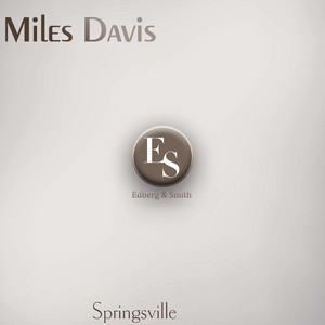 Springsville (Original Mix)
