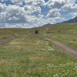 马年最好的祝福