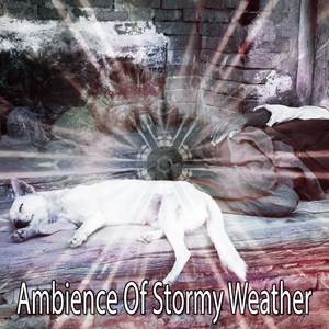 Current Thunder