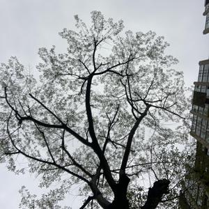 奔向梦想（prod.Xouns）