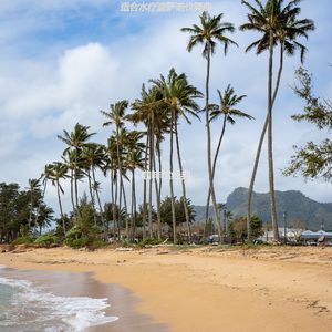 适合静止极好的音乐