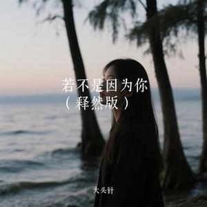 若不是因为你 (Remix)