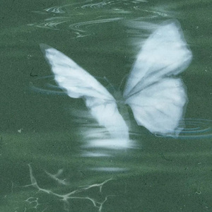 Purse（Slow）0.8 (Slow, 0.8)