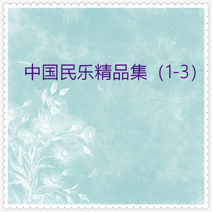 阳春白雪 (琵琶独奏)