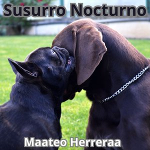 Sabor a Verano