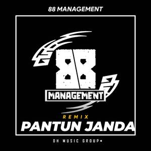 PANTUN JANDA MELODI VIRAL REMIX LAMPUNG (Remix)