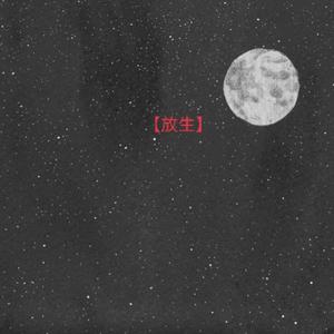 半吨兄弟-放生（jandy李俊秀 remix）