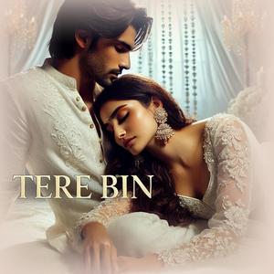 Tere Bin