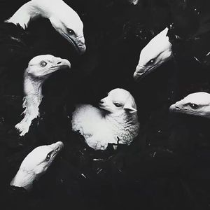 Counterparty （Slowed）