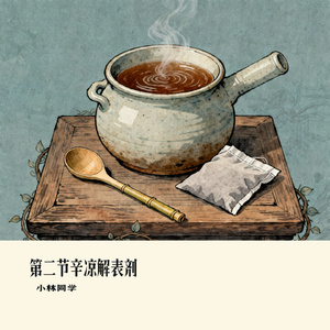 第二节辛凉解表剂