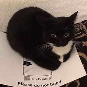 Instruction (slowed)