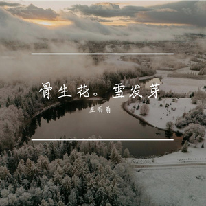 骨生花。雪发芽