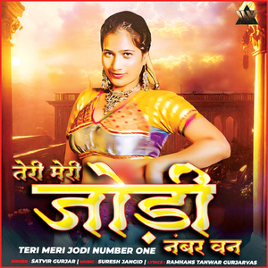 Teri Meri Jodi No.1