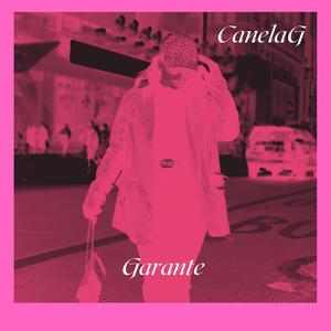 Garante