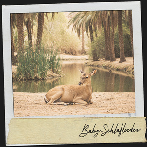 Mélodie de tranquillité du crépuscule