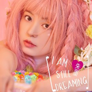 我依然在做梦 伴奏