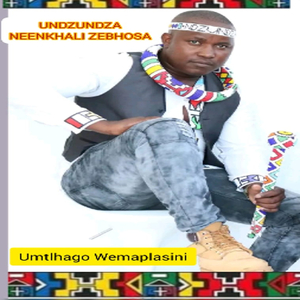 Umtlhago Wemaplasini