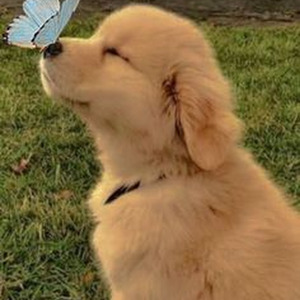 Airplanes, Pt. II (slowed)