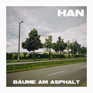Bäume am Asphalt