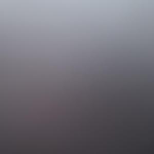 小鸟在天空消失的日子伴奏