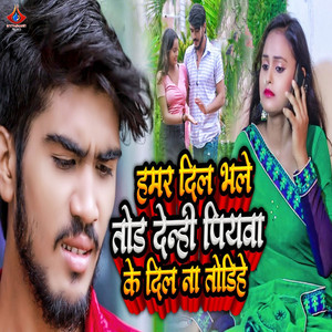 Hamar Dil Bhale Tod Denhi Piywa Ke Dil Na Todhihe