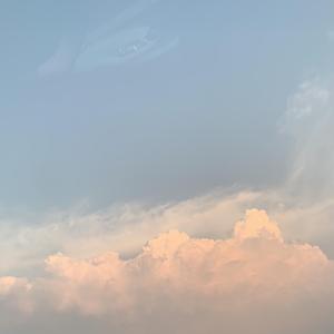 流转