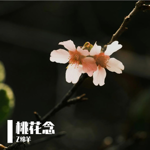 桃花念