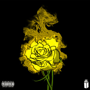 Sem Coração (Slowed)