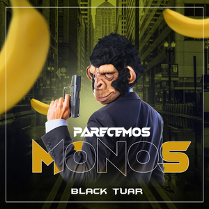 Parecemos Monos
