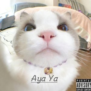 Aya Ya