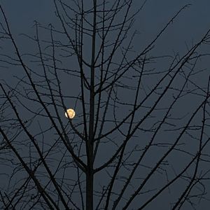 你以为你手段高明只不过是我心甘情愿