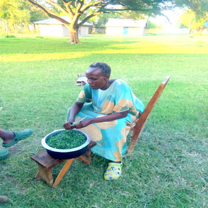 UMOJA NDIO NGUVU