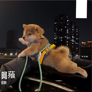 旋律电子欢乐曲