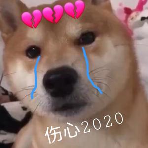 520,傷心2020(port by Slim Dyane.)