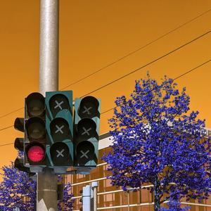 Disgraceful (feat. agimotoo)