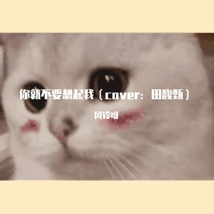 你就不要想起我